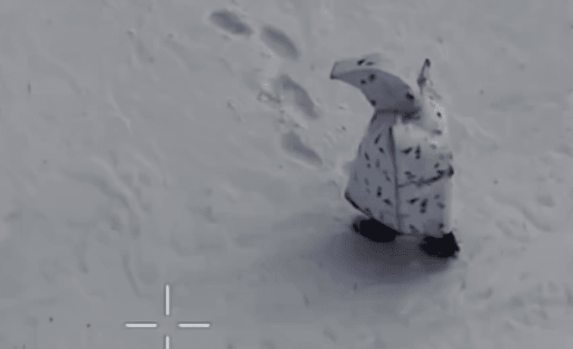 سُترة البطريق.. بدلة تنكرية لجنود روس تتحول إلى "مادة للسخرية"