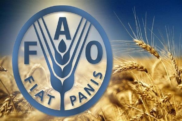 فاو: أسعار الغذاء ترتفع في فبراير بعد تراجع دام 5 أشهر