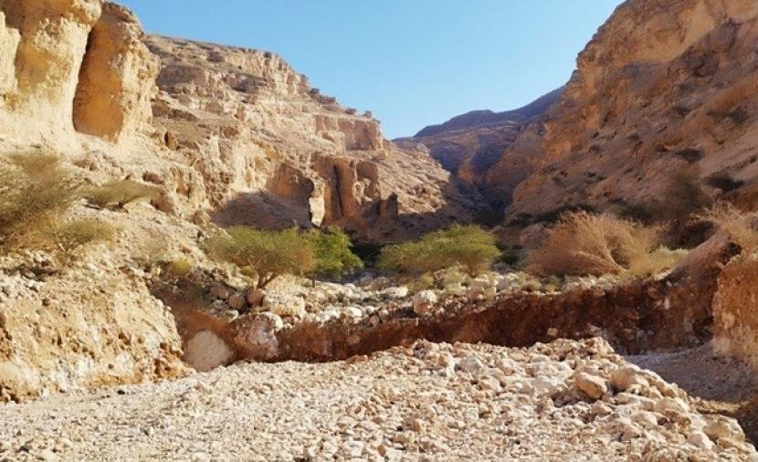 بدء العمل في تنفيذ مشروعين للسدود المائية بمسندم والظاهرة