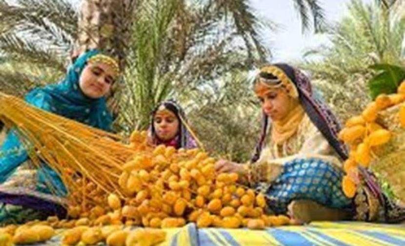 موسم التبسيل.. قيمة اجتماعية واقتصادية وإرث معرفي ينتقل عبر الأجيال