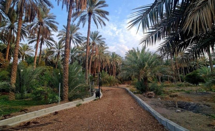 تنفيذ 4 مشاريع مماشٍ في وادي المعاول بين الواحات الخضراء