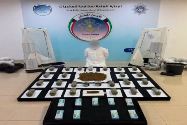 «الداخلية»: ضبط مواطن يدير مزرعة لزراعة الماريجوانا