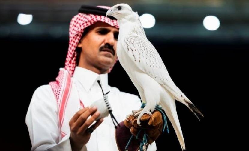 بيع أغلى صقر في مزاد 2026 بالسعودية