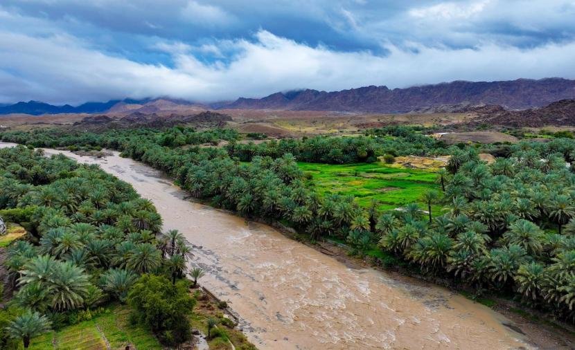 أمطار مرتقبة على محافظة الظاهرة